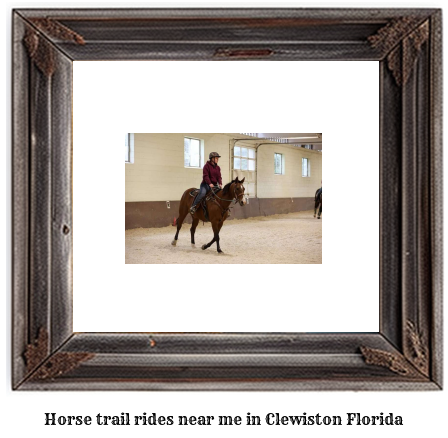 horse trail rides near me in Clewiston, Florida